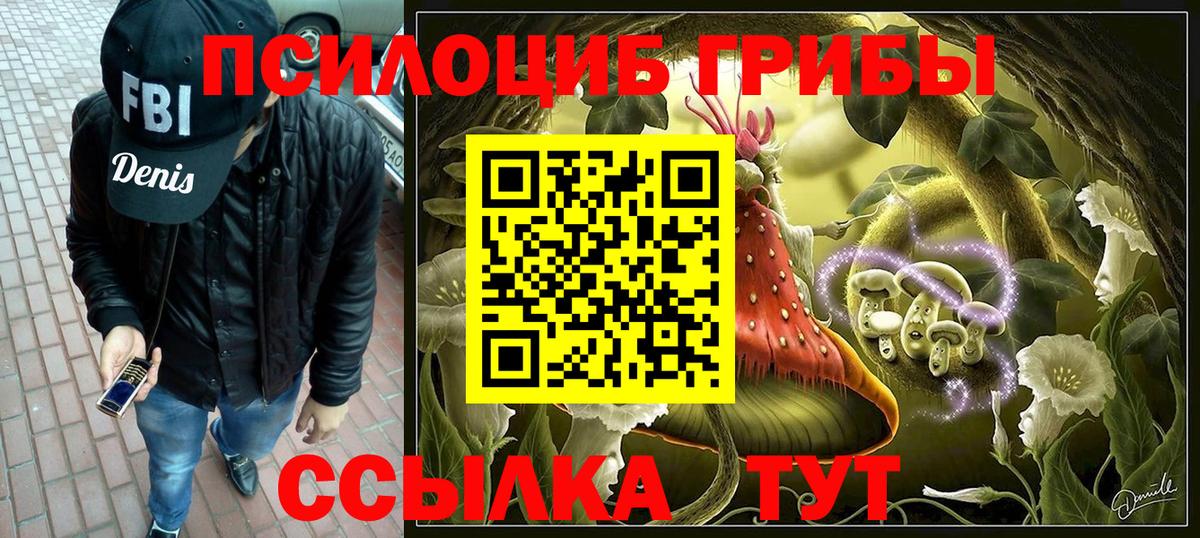 Псилоцибиновые грибы Psilocybine cubensis  Вход с VPN  где купить   Касимов 