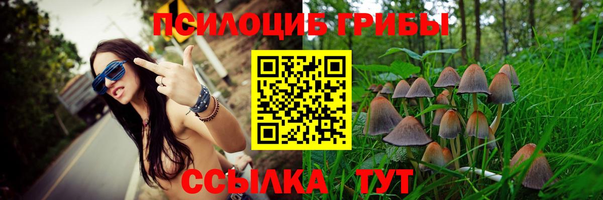 Псилоцибиновые грибы Psilocybe Касимов